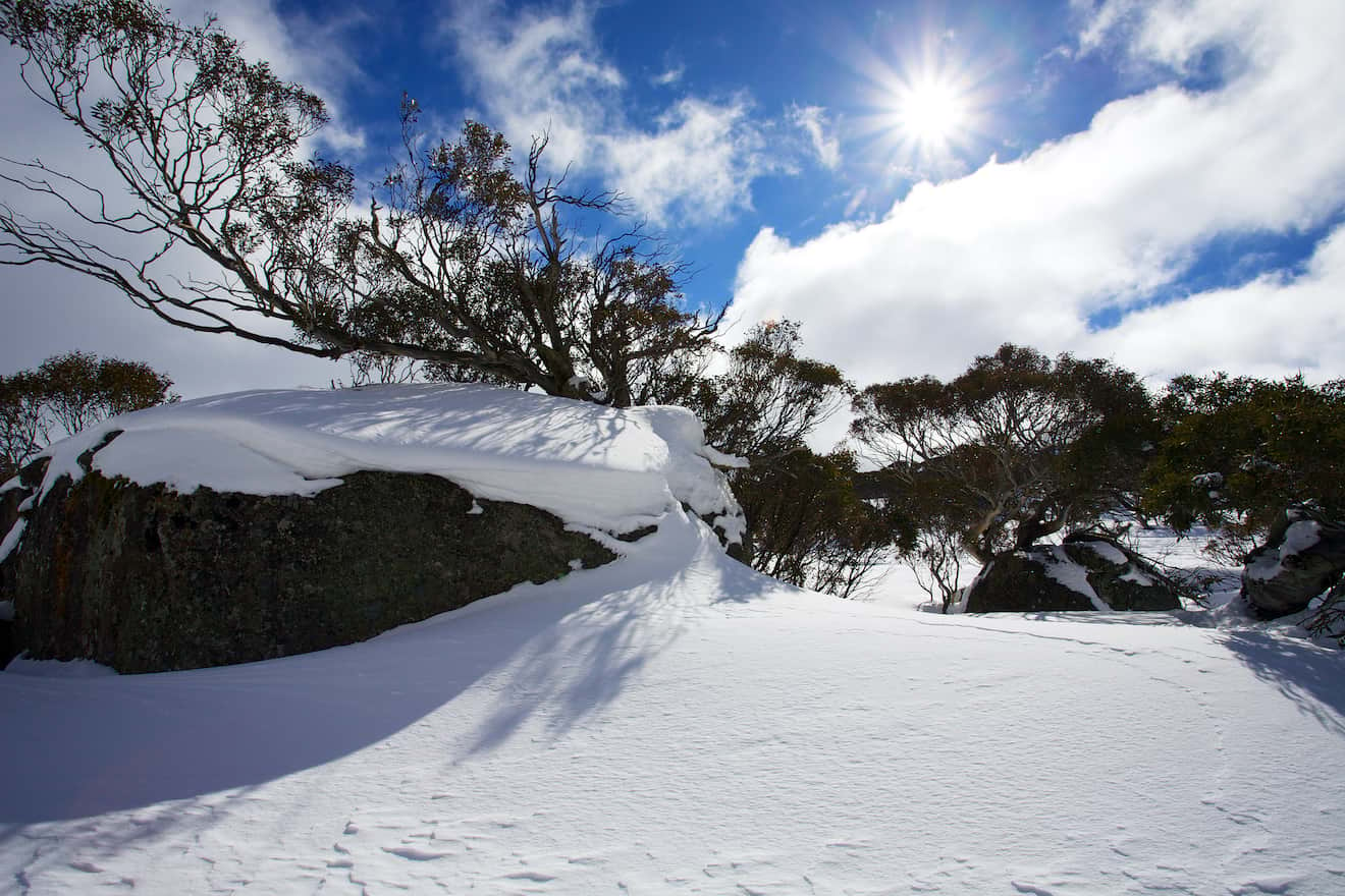 Perisher or Thredbo NSW Australia