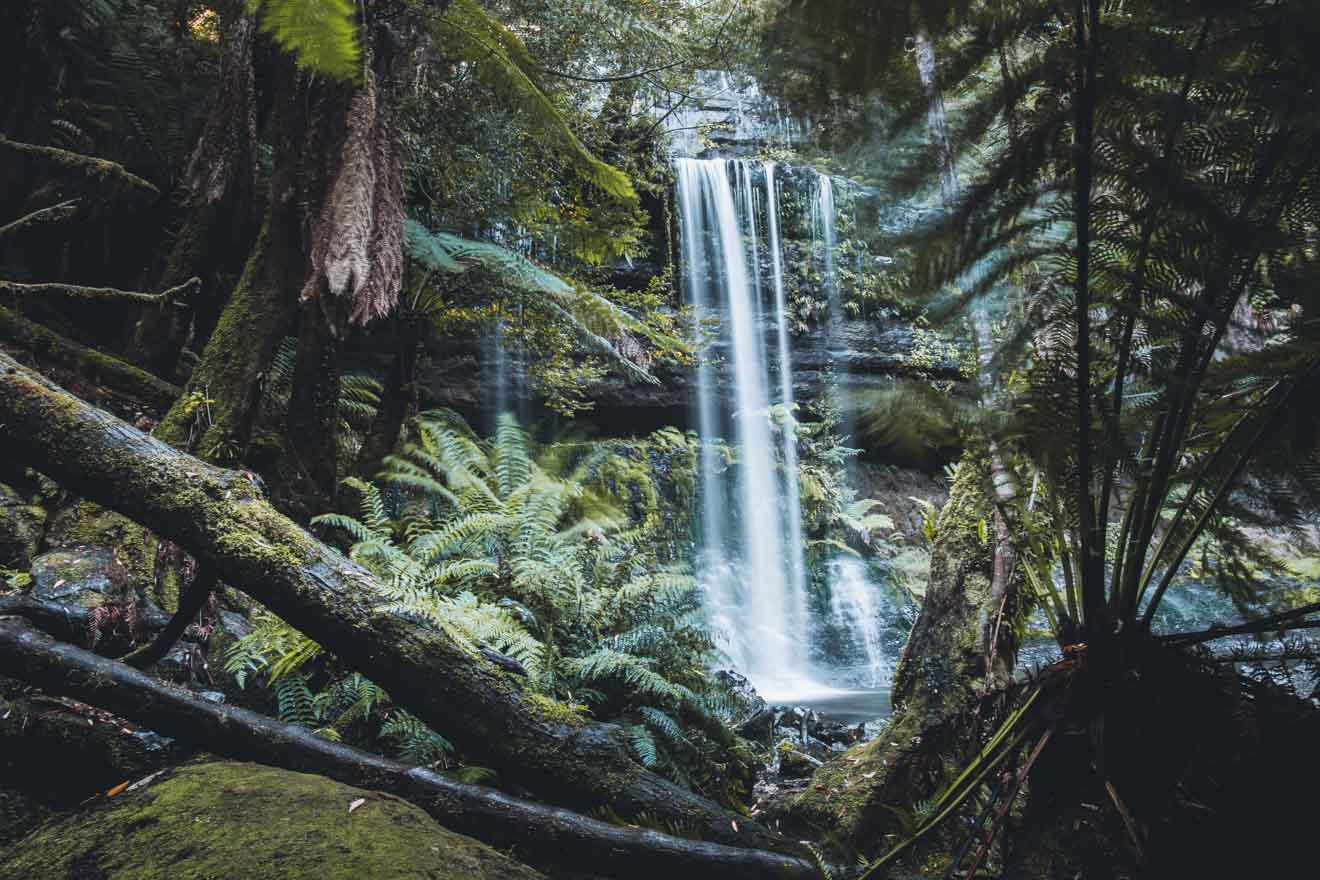 Russell Falls Mt Field National Park tasmania tourist attraction