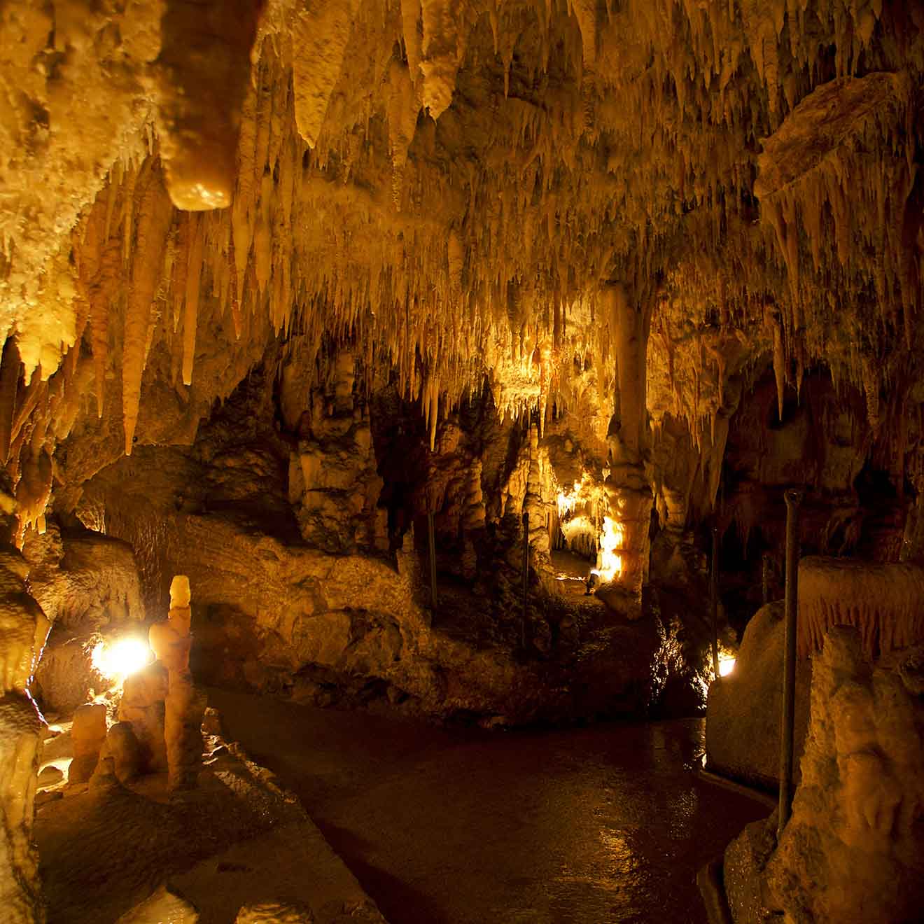 The Jillabenan Cave Kosciuszko National Park walks