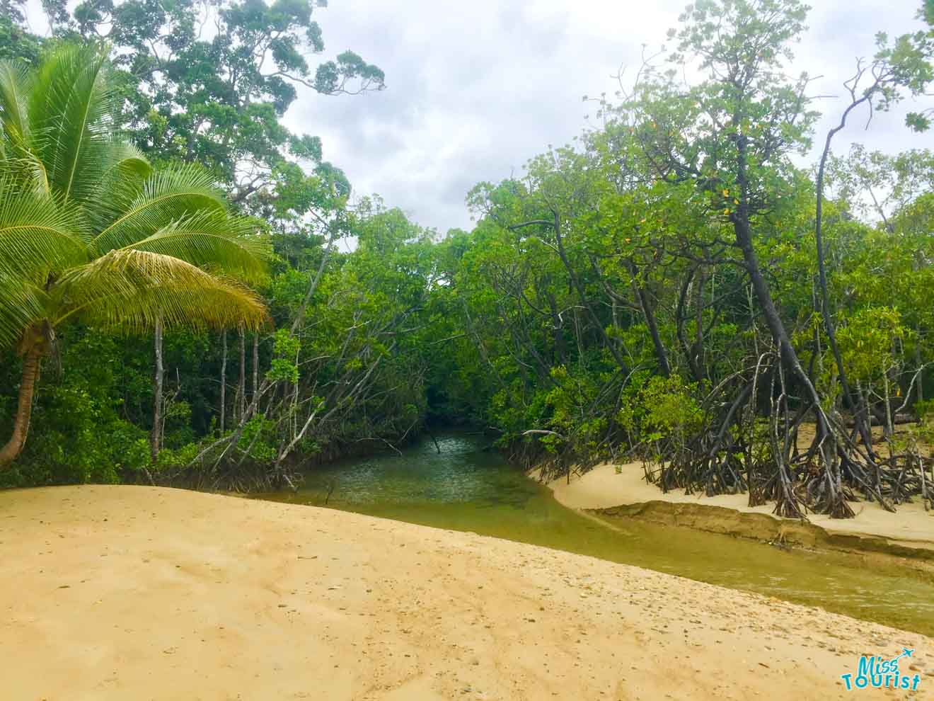 rainforest things to do in port douglas