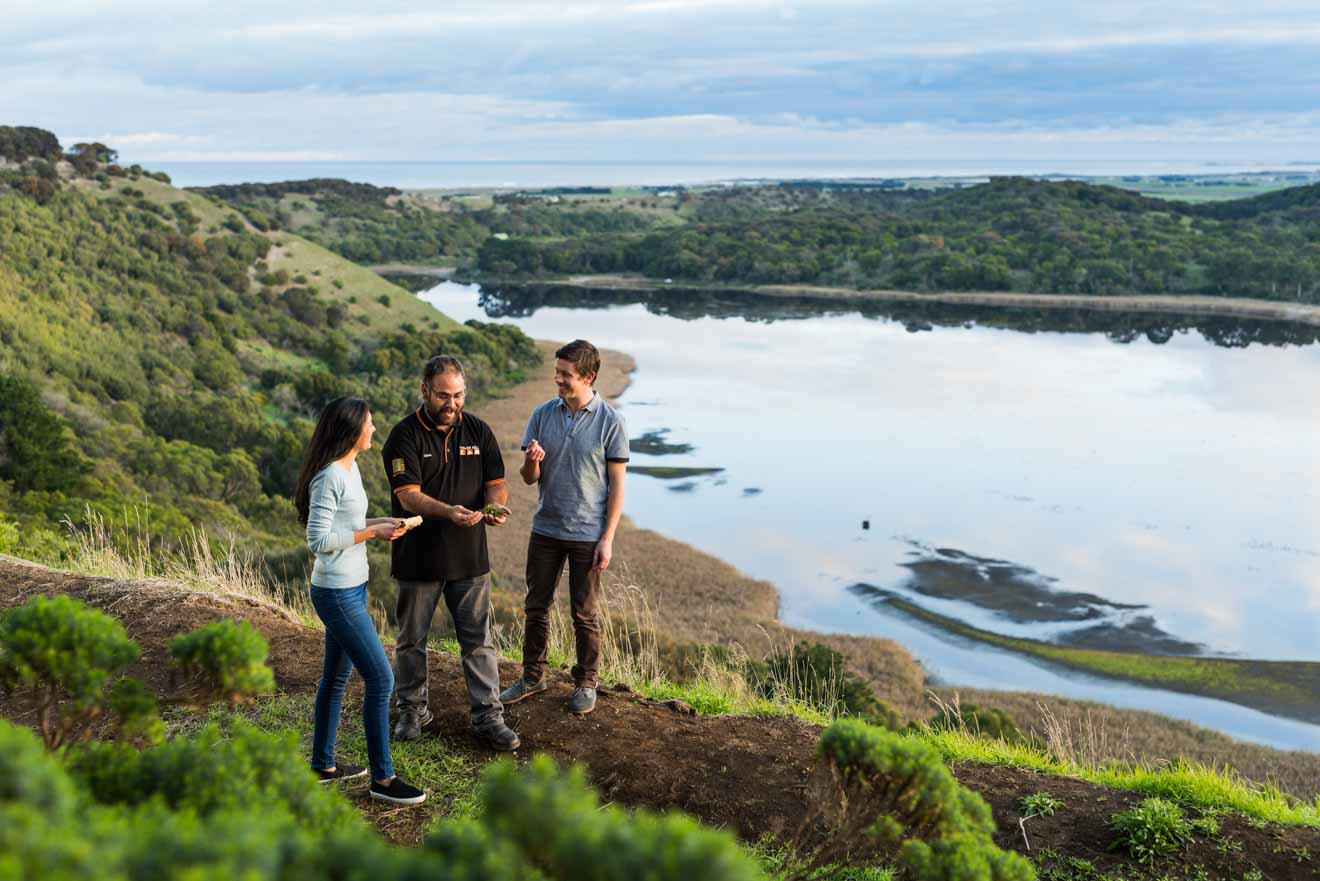 great ocean road tour - Tower Hill Great ocean road itinerary