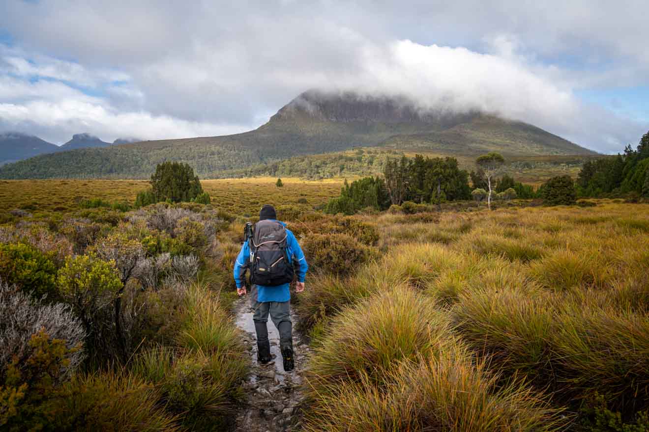 Walking towards Mt Pelion West, Overland Track - a self guided tour