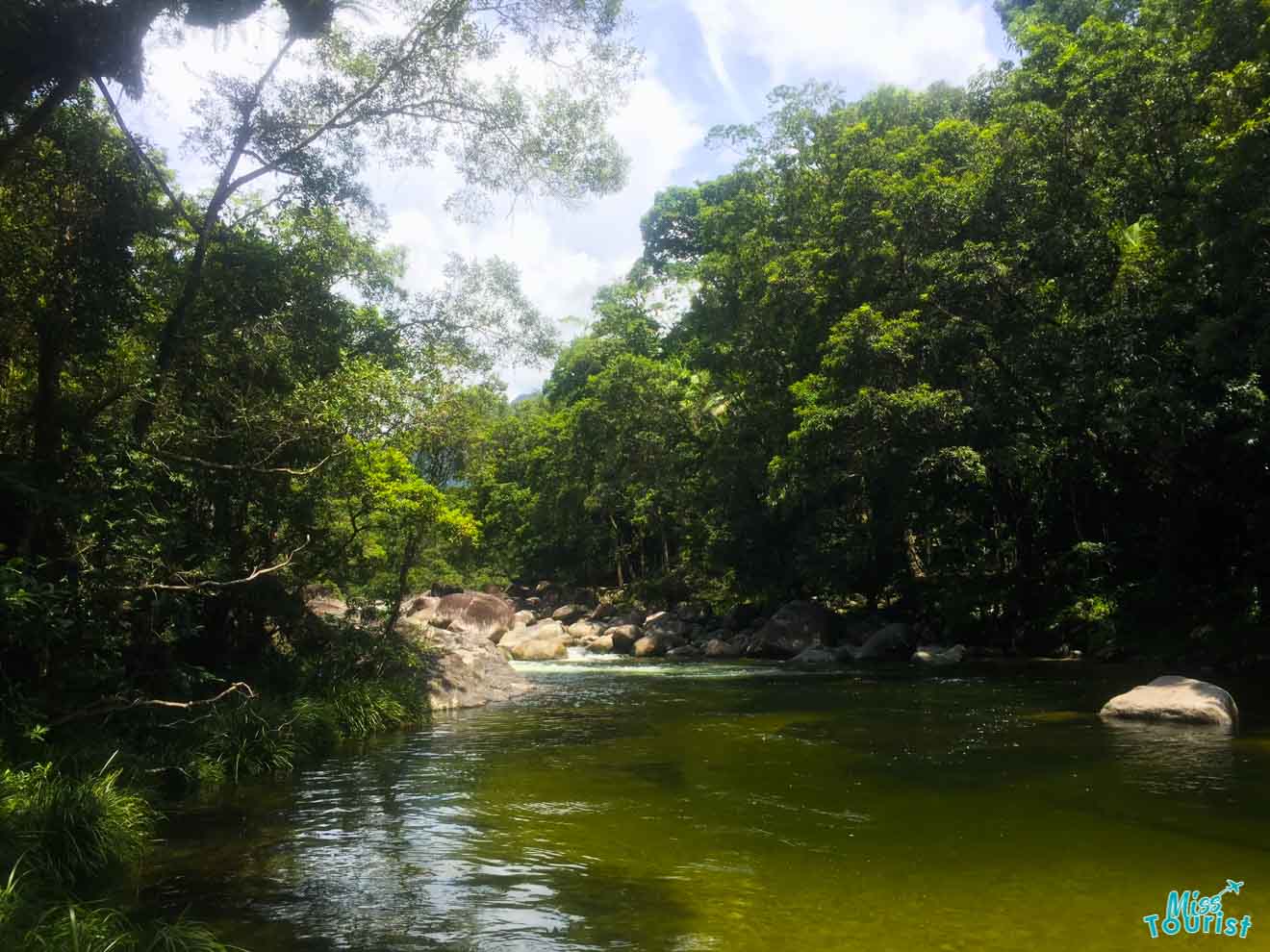 wild swimming spot things to do in port douglas