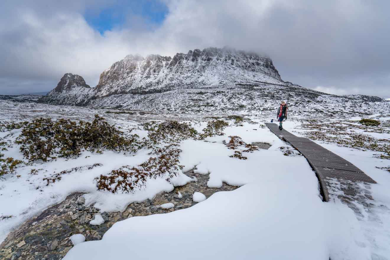 Winter on the Overland Track Walk