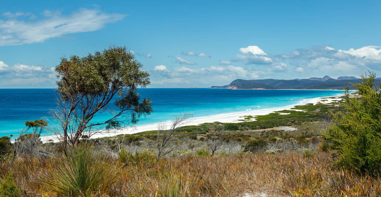 how hard is bay of fires wlak in australia