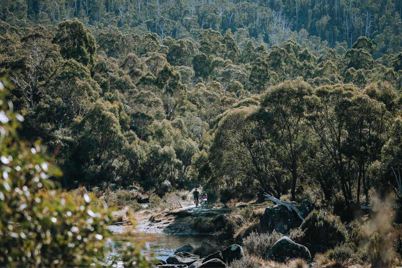 mountain biking in Kosciuszko National Park pass