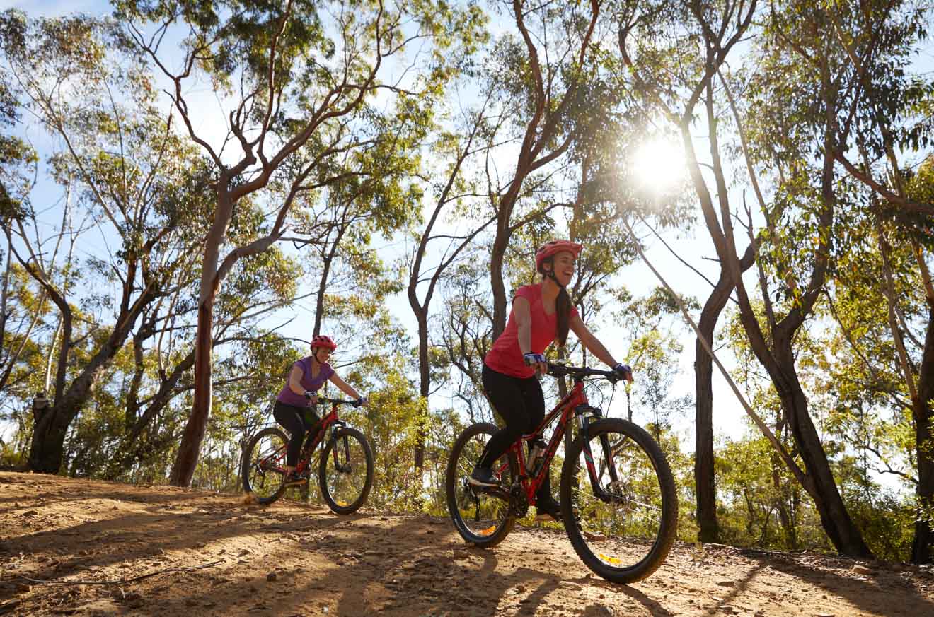 mountain bike trails blue mountains