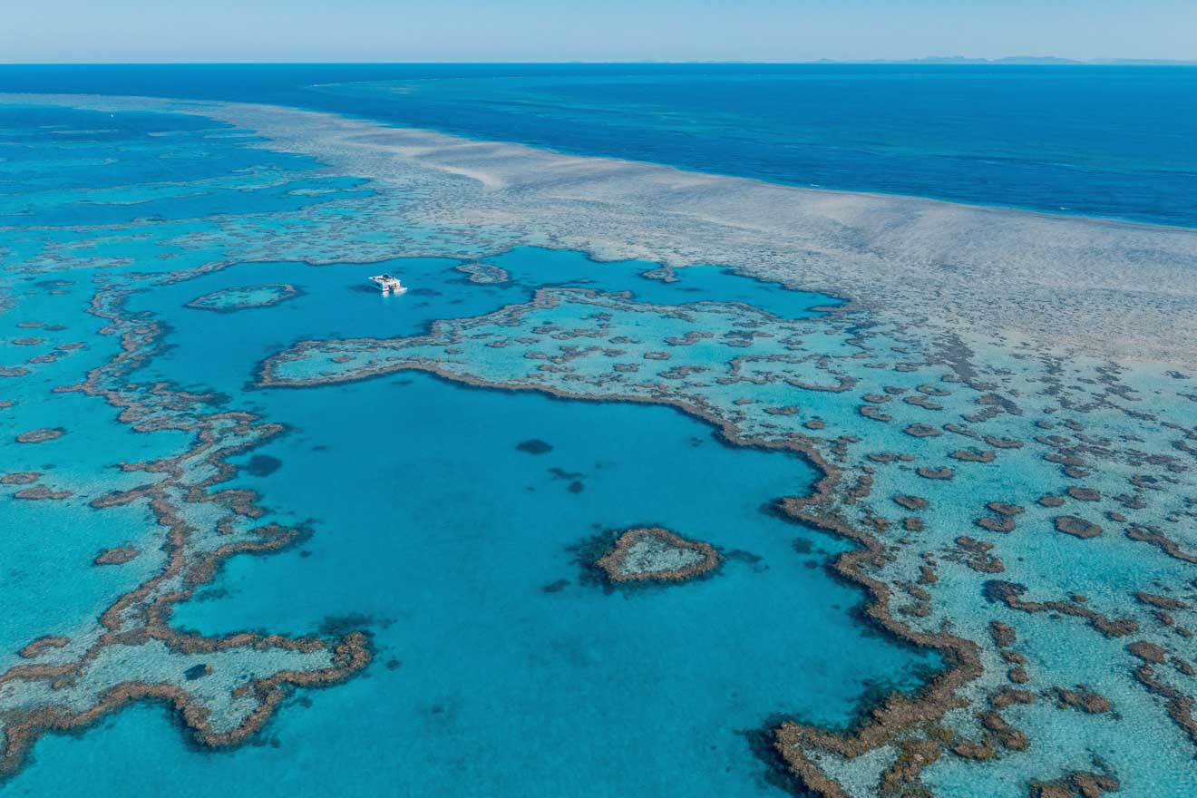 great barrier reef port douglas