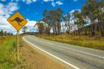 Your Ultimate 11 Day Tasmanian Road Trip - Daily Itinerary