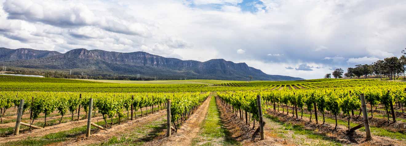 vineyard in the Hunter Valley overnight tour