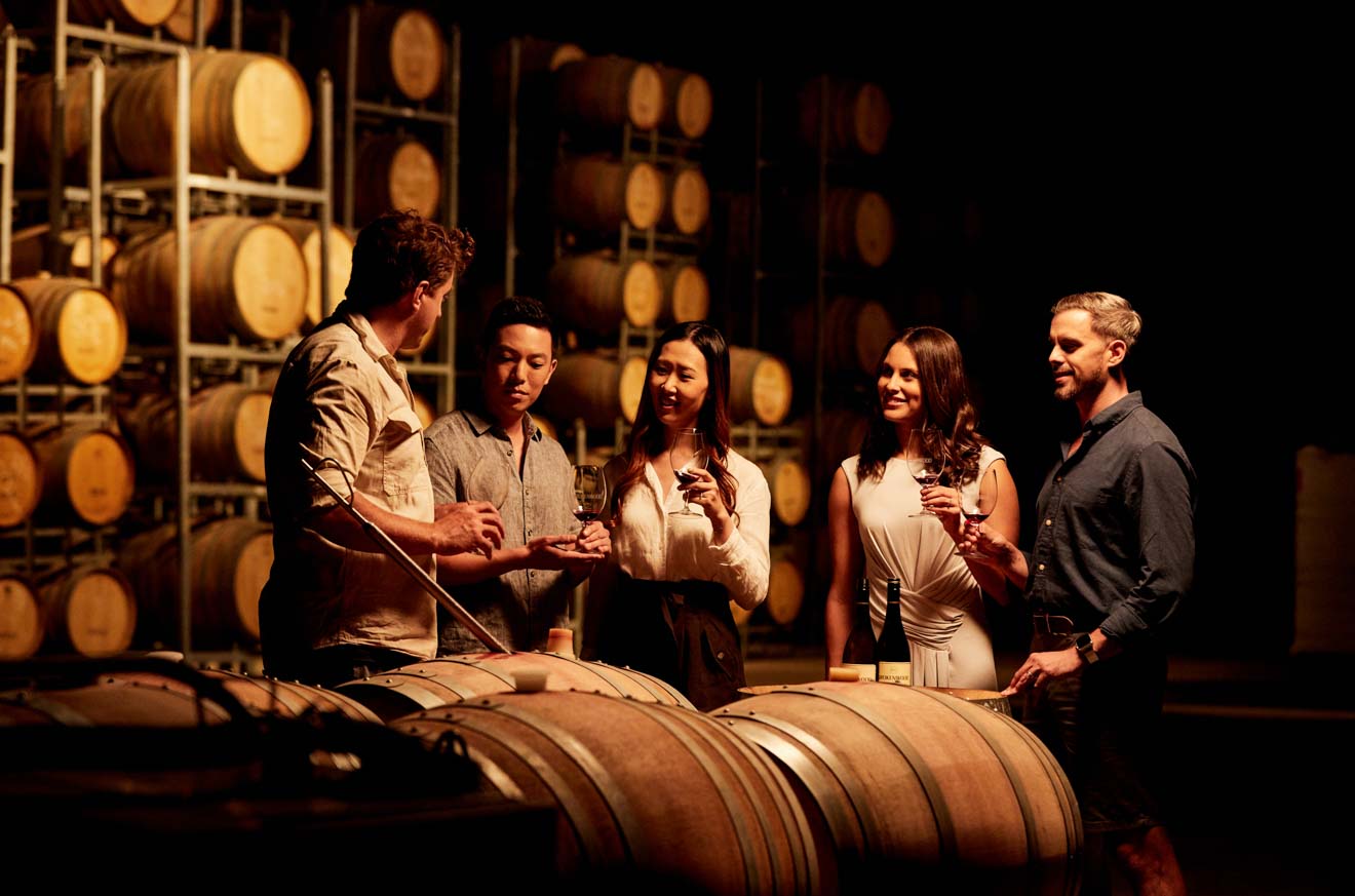 wine tasting at Brokenwood Wines, Pokolbin, Hunter Valley how to get