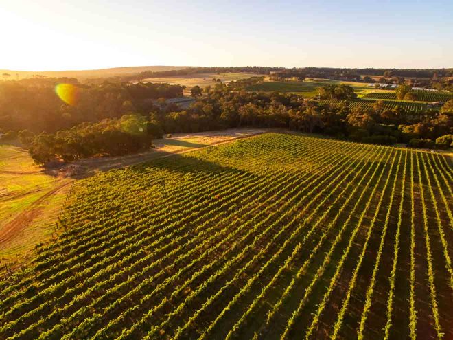 The List of 6 Best Margaret River Wineries That You CANNOT miss!