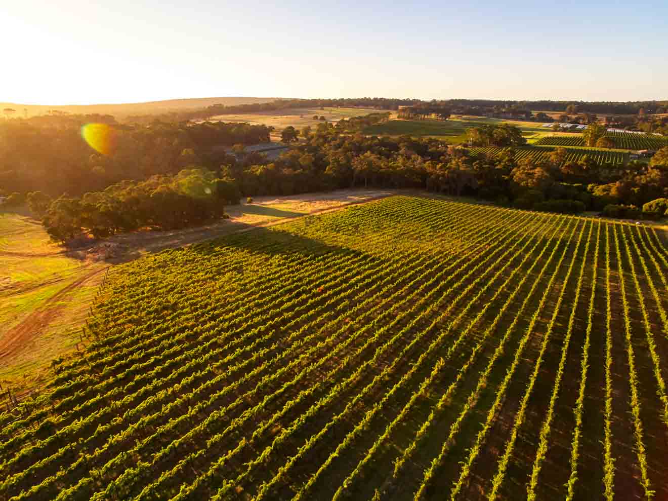 vasse felix, Amato Vino Margaret River Wineries