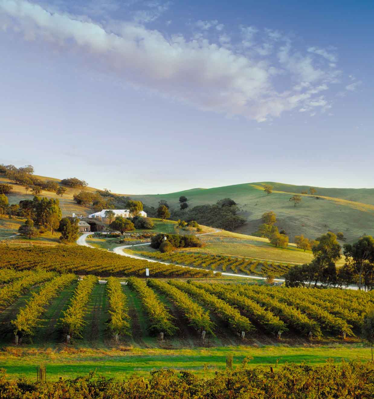 which wineries to visit in barossa valley