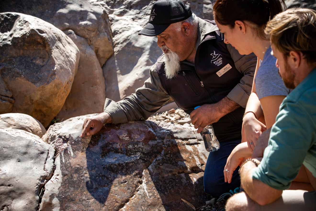 Guided tour itinerary at Wilpena Pound Resort - Brachina Gorge Fossils