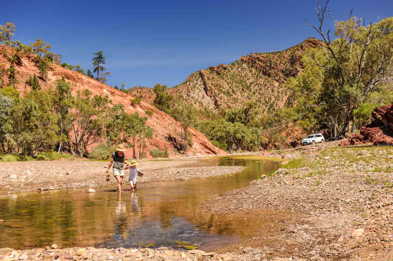 Brachina Gorge things to do with kids