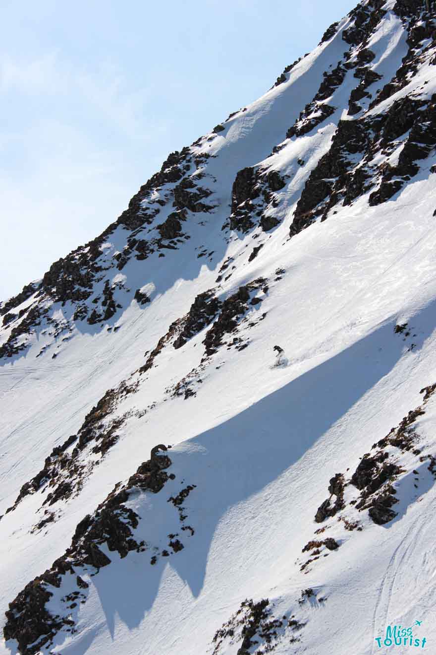 short trips in Buller Shoots Mt Buller or Mt Hotham