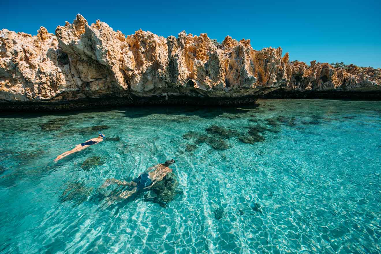 Snorkeling Dirk Hartog Island Things to do in Shark bay, Australia