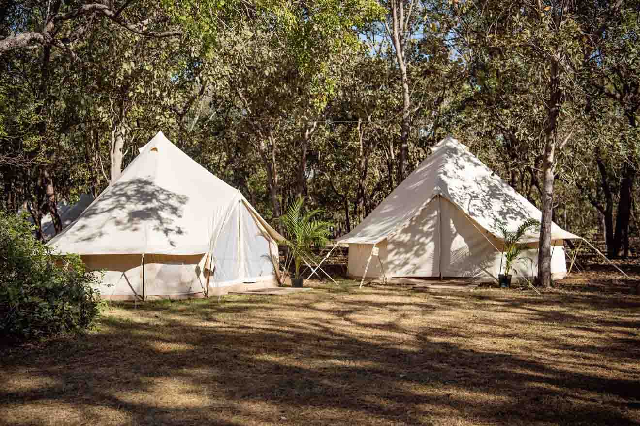 Flash Camp Things to do in Kakadu national park accommodation