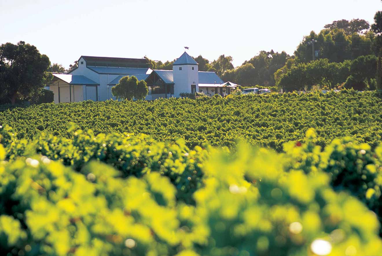 Hay Shed Hill winery Margaret River Wineries and breweries