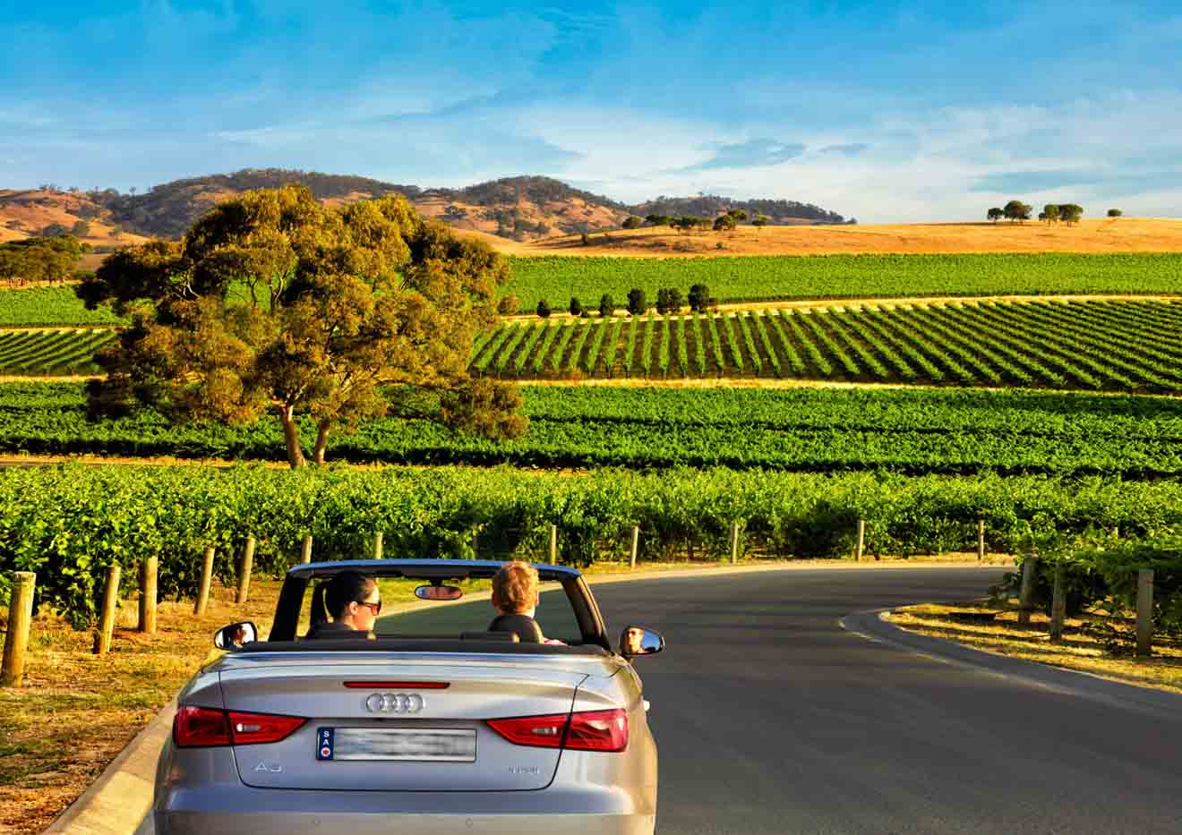 barossa winery bike tour