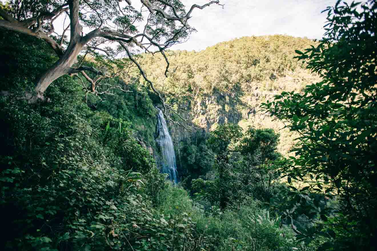 Lamington National Park Things to do on the Gold Coast on a budget