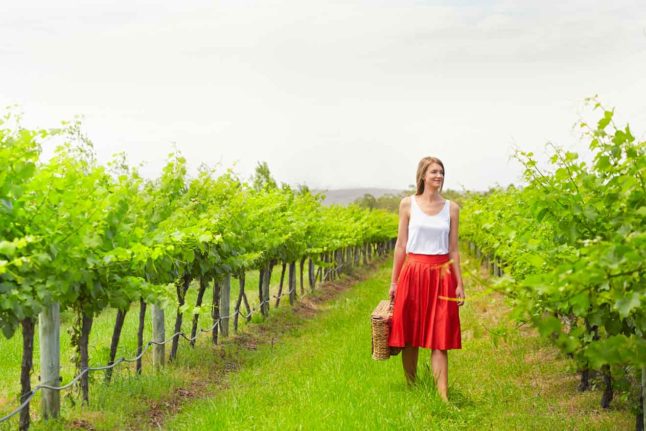 Lancaster Wines, best swan valley wineries