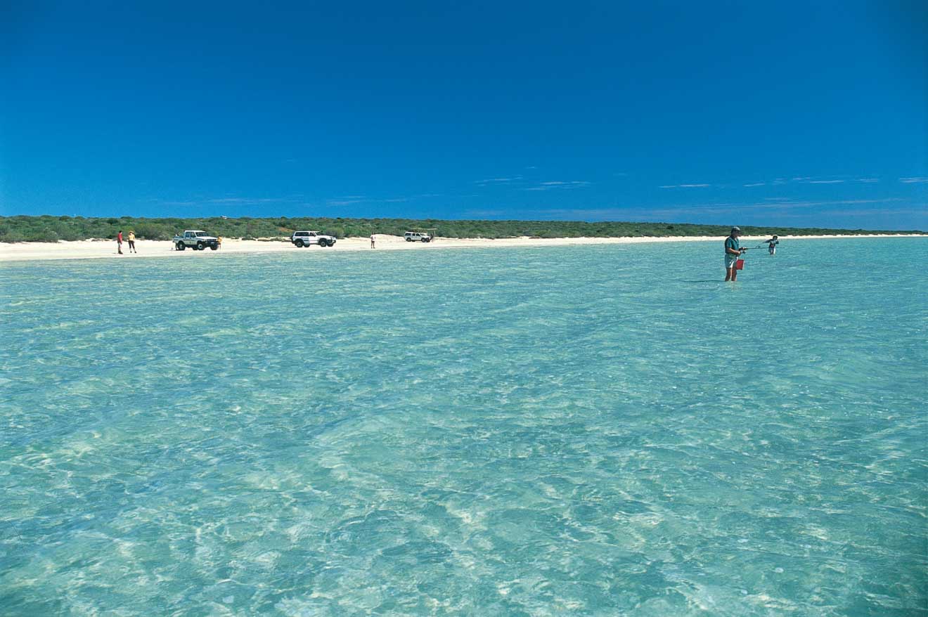 Little Lagoon Things to do in Shark bay, Western Australia