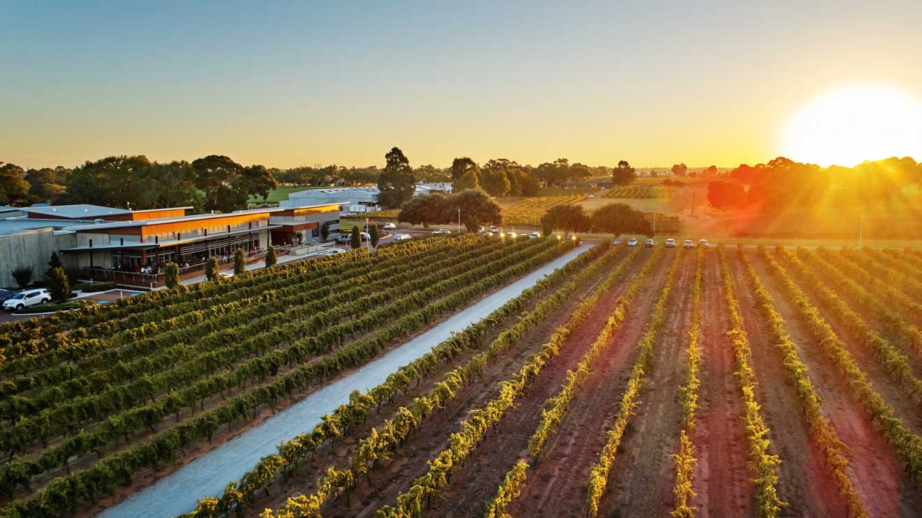 black swan tours - Mandoon Estate, Homestead Brewery, Swan Valley