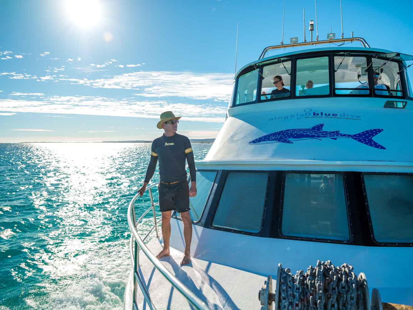 6 Things to Know about the Whale Sharks at Ningaloo Reef