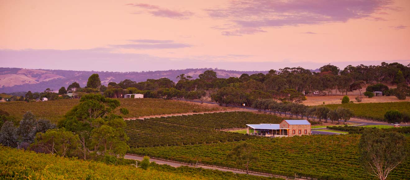 weekends in adelaide - McLaren Vale Day trips from Adelaide