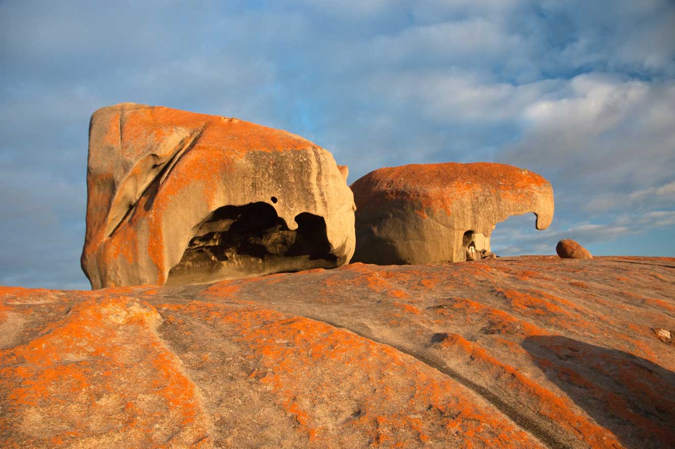 kangaroo island cave tour