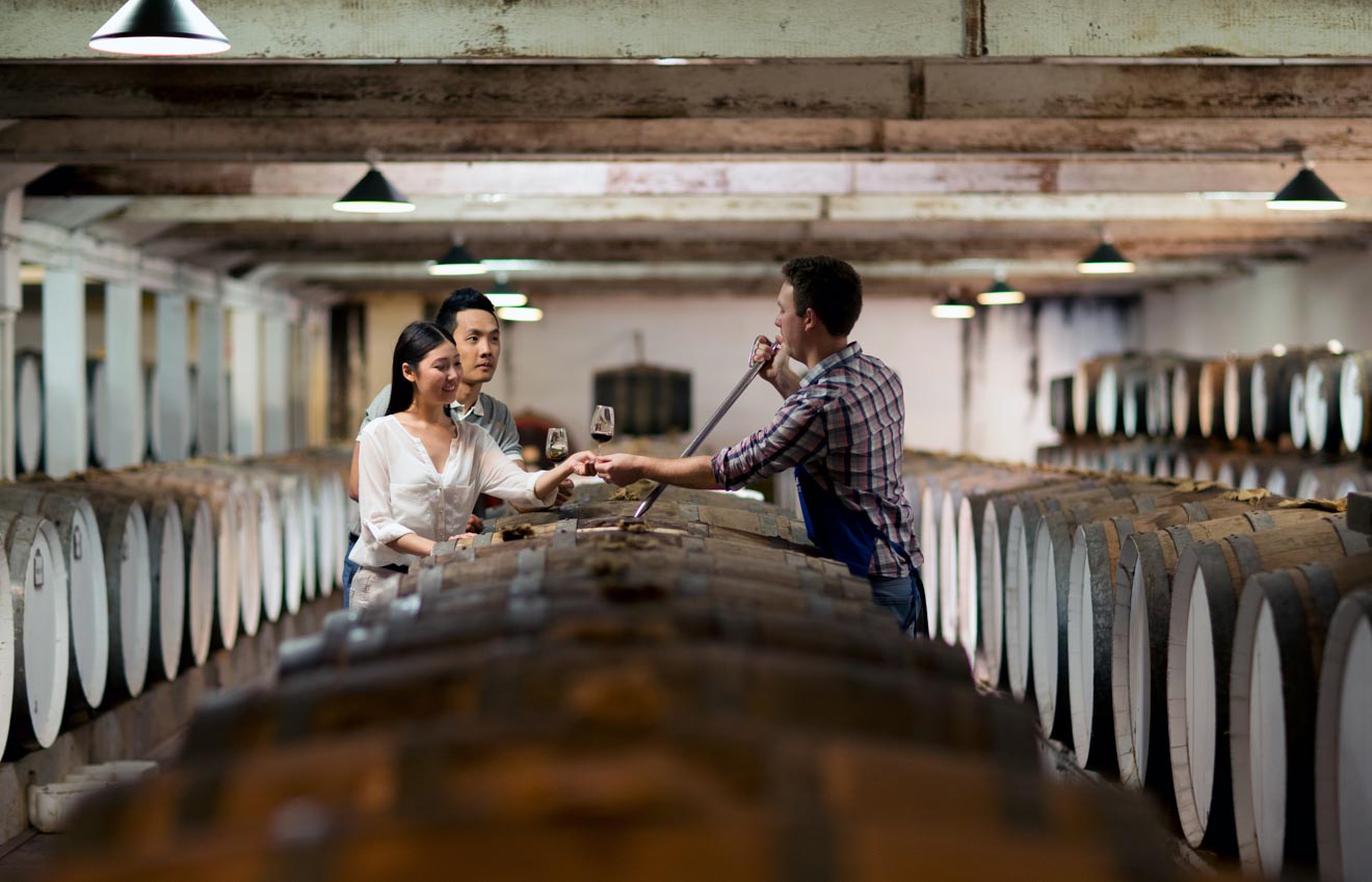 barossa valley wineries - The Centennial Cellar at Seppeltsfield Wines, Barrossa Valley, S