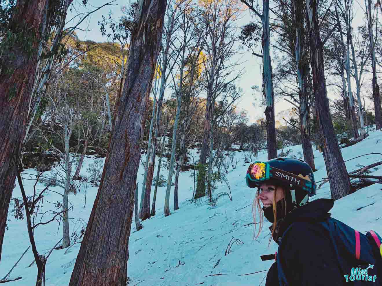 mount hotham snowboarding - Tree skiing Mt Buller or Mt Hotham