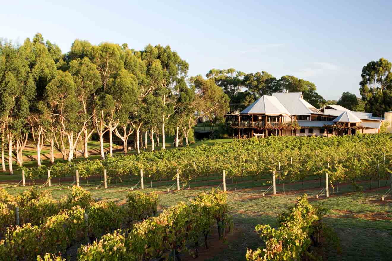 View Margaret River Wineries Open Monday Gif