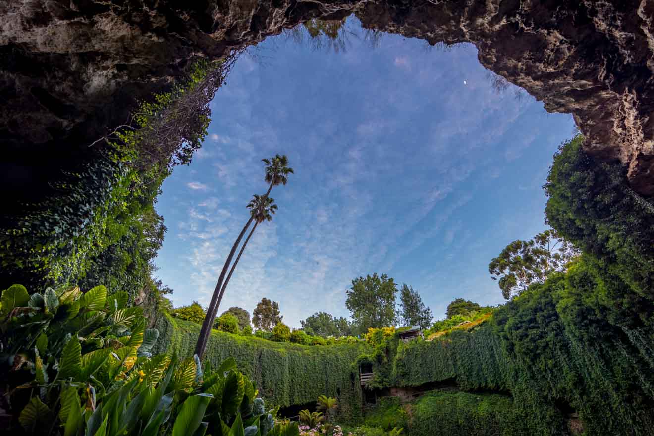 discovery mount gambier - beautiful nature Things to do in Mount Gambier