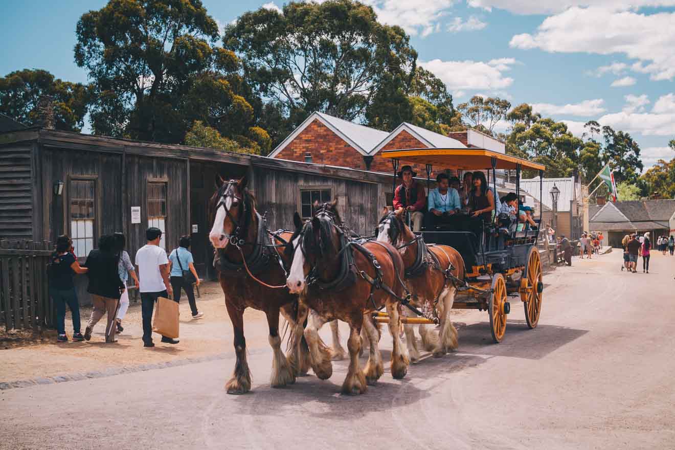 crowded street things to do in ballarat wildlife park