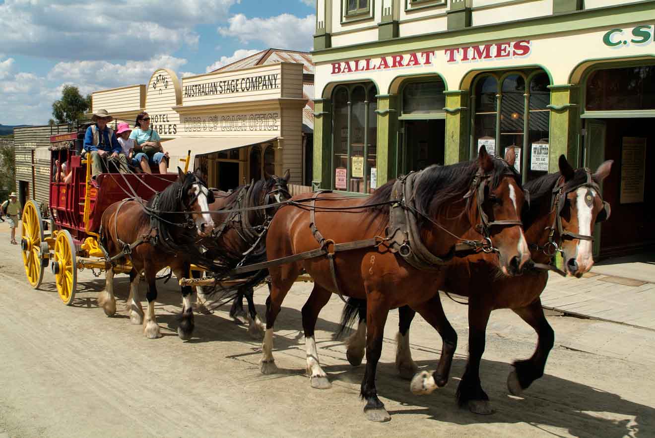 horses things to do with kids in ballarat