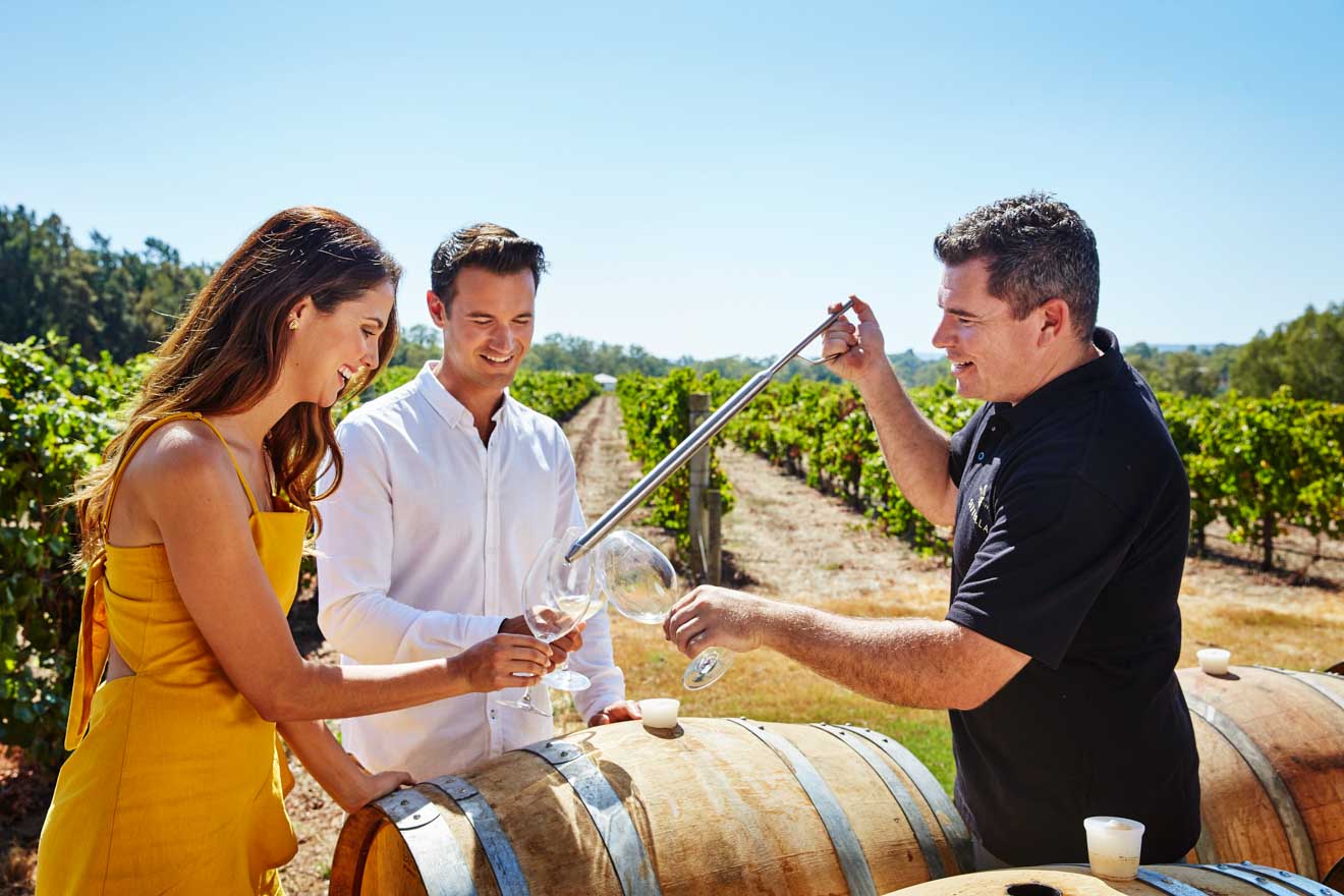 d'vine wine tours - Swan Valley, near Perth