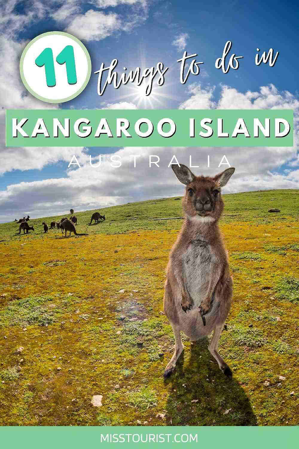 things to do in kangaroo island pin2