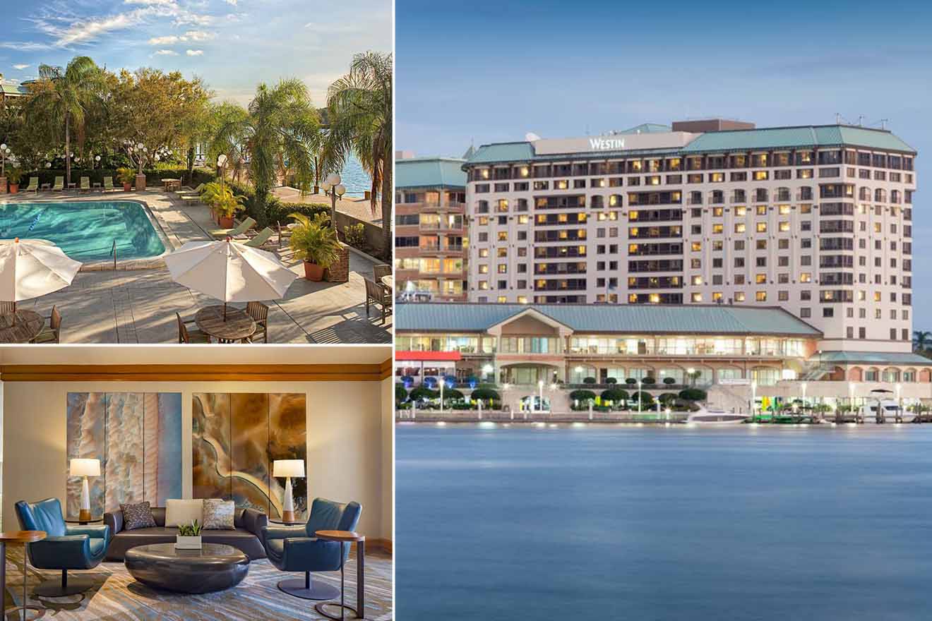 6 Best Areas Where to Stay in Tampa, FL (+Airbnbs & Hotels!)