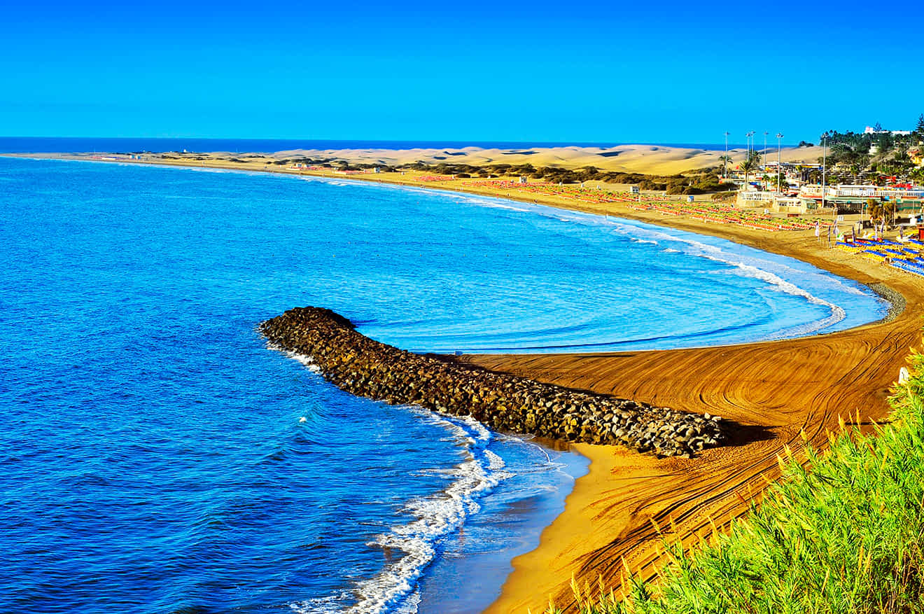 A picturesque view of a sunny beach with golden sand, blue ocean waves, and a rocky pier extending into the water. In the background, there are dunes and a small town with visible buildings.