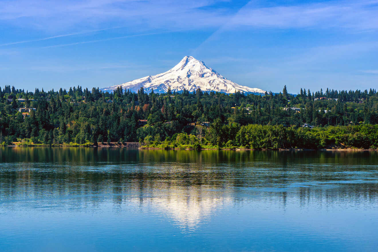 0 Best treehouses to stay in Oregon 1