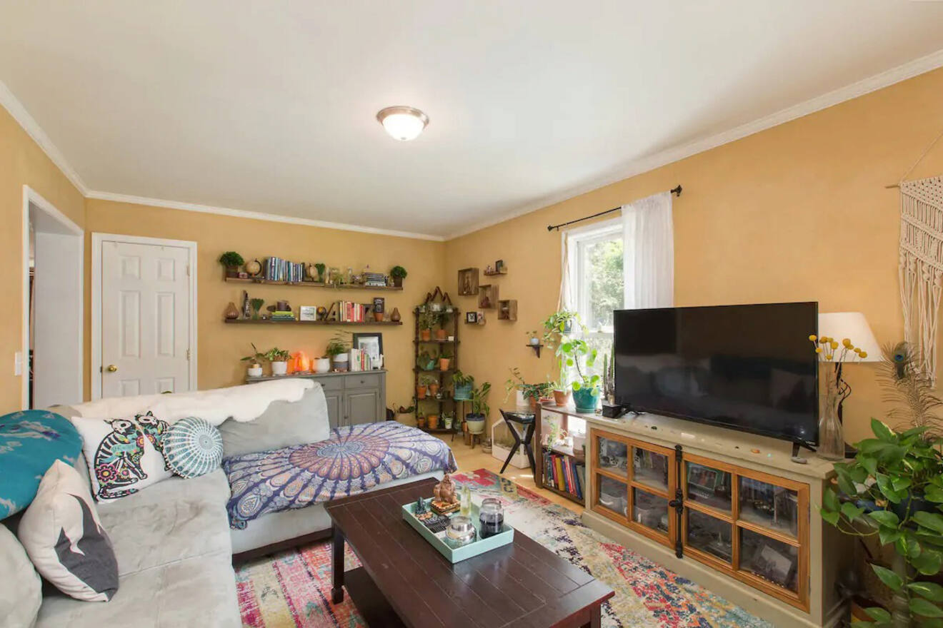 13 Best Airbnbs in Asheville That You will Want to Book Now!