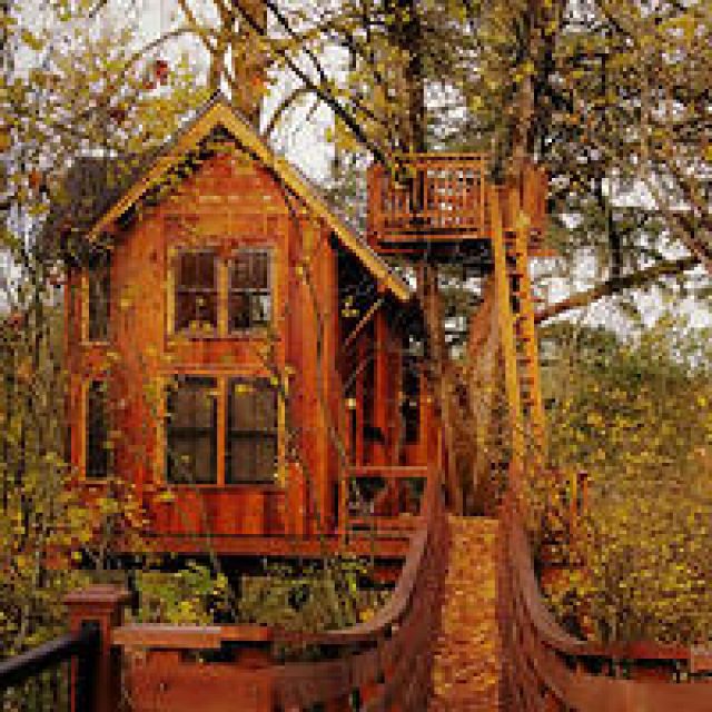 15 MESMERISING Treehouses in Washington Ranked With Prices!