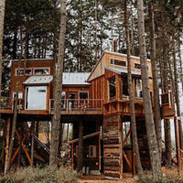 15 MESMERISING Treehouses in Washington Ranked With Prices!