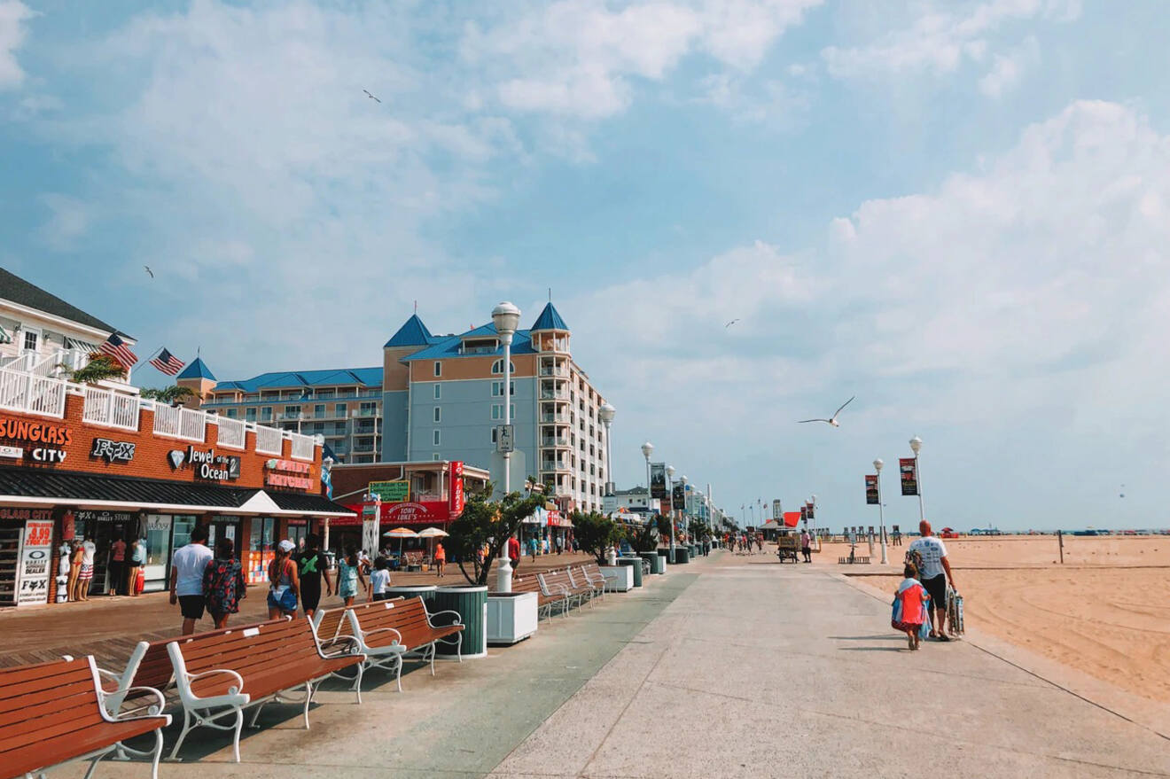 are dogs allowed on the boardwalk in ocean city maryland