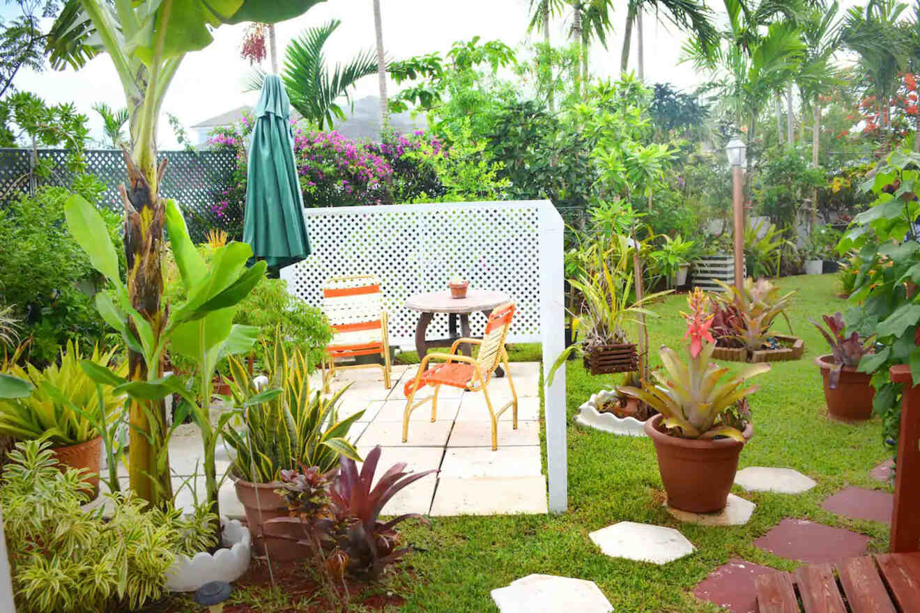 Airbnbs in Nassau, Bahamas 12 Island PARADISES + Unique Stays