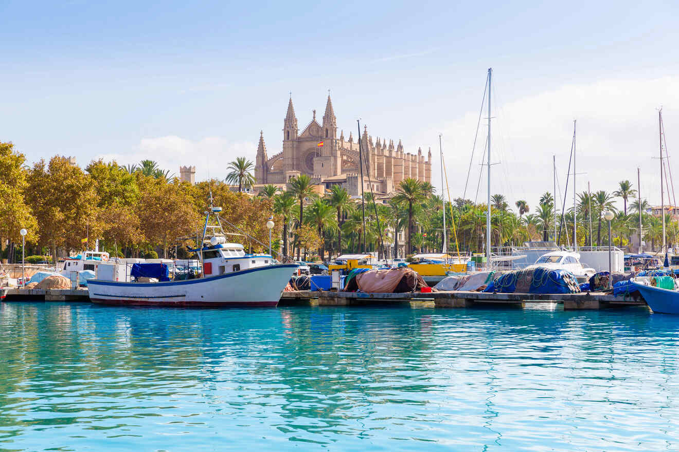 A marina with various boats docked, clear blue water, trees, and a large Gothic cathedral with multiple spires in the background.