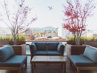 Urban rooftop patio with cushioned seating and city views, flanked by blooming cherry trees